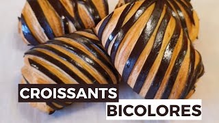 Comment faire des croissants bicolores Ma technique pour réussir des viennoiseries bicolores [upl. by Mide747]