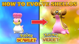 How To Evolve Shellos Into Gastrodon In Pokemon Scarlet and Violet [upl. by Theodore133]