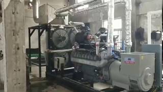 400kW VMAN biogas Cogenerator with biogas pretreat system [upl. by Tench]