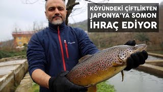 Köyündeki çiftlikten Japonyaya somon ihraç ediyor [upl. by Arivle501]