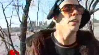 Jackass Star SteveO Arrested [upl. by Stauffer]