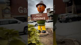 Fall in Gatlinburg Tennessee [upl. by Akem]