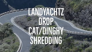 Longboarding Landyachtz Drop Cat Seeker 38quot And Dinghy 285quot Longboard DemoSpeed Test [upl. by Ecniv]