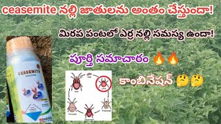 ceasemite insecticide uses in Telugu  ceasemite insecticide  erra nalli nivarana in mirchi  nalli [upl. by Egon]