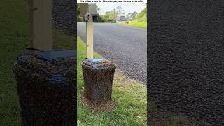 Bin Bees Find New Home 😳🤯 beeswarm facts video shorts [upl. by Marlie855]