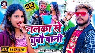 VIDEO  नलका से चुबौ पानी Dharmendra Nirmaliya New Video  Suman Sona  Nalka Se Chubo Pani [upl. by Rodina]