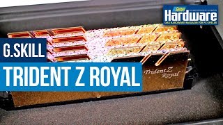 GSkill TridentZ Royal  3200 Vs 3600 MHz Ram  Gaming Benchmarks [upl. by Raychel]