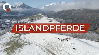 Die Islandpferde von Thiersee Teil 1  QUFSTEINTV [upl. by Hausmann]