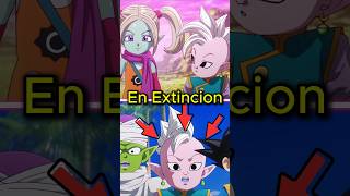 SHIN ES EL ULTIMO SUPREMO DEL UNIVERSO en Dragon Ball Daima [upl. by Ocin131]