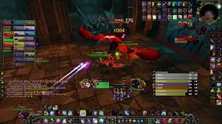 WoW Classic SoD 2h fury warrior pve Blackwing Lair Ebonroc amp Flamegor 3 trial kill 3 [upl. by Aynna]