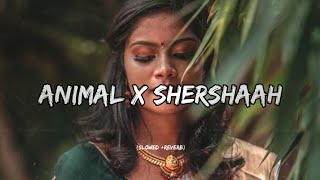 Animal X Shershah Mashup Song  Mashup Lofi Song  Rc Lofi [upl. by Fernand949]