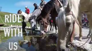 Horseback Riding Dolomites with Charlotte Horse Riding ASD [upl. by Adnahs]