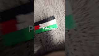 Palestine [upl. by Laresa446]