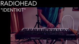 Radiohead  Identikit Cover by Joe Edelmann [upl. by Hinkle]