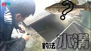 路亞擬餌 不起眼的小水溝竟然超爆咬 201901台灣69J釣魚俱樂部69J Fishing Club [upl. by Rehpinej150]