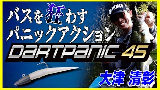 【津久井湖】バスを狂わすパニックアクション！ダートパニック45完全解説【ワインド釣法】 [upl. by Nueoras517]