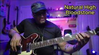 Natural High  Bloodstone  Bass Cover [upl. by Lee15]