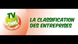 Tome 1 La classification des entreprises [upl. by Sabine57]