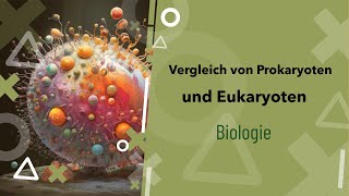 Pro und Eukaryoten im Vergleich Was ist der Unterschied  Zelle  Beispiele  Zellkern [upl. by Nehgam]