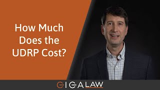 Domain Dispute Masterclass 4 How much does the UDRP cost [upl. by Weinert]