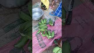 Applying cooking oil in your hands before peeling bananas [upl. by Ellehcam6]