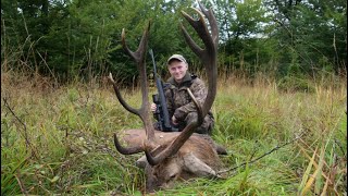 Hjortejagt i Danmark  Red stag hunting in Denmark  Hirschjagd in Dänemark 4K 2 [upl. by Drauode885]