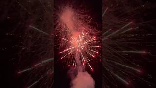 Law abiding citizen 118 shots Firework pyrotechnicsfireworksdisplay Disneyland fireworks [upl. by Nyvrem]