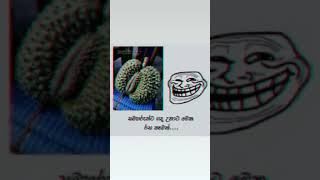 කෝ බලන්න මේ රස කෑම කාලා තියන අය 😏😹shorts trending status viral subscribe youtubeshorts [upl. by Nee869]