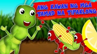 Ang kawan ng mga tamad na Tipaklong  The Herd of Lazy Grasshoppers  Tagalog Moral Stories  Kwento [upl. by Gallenz]