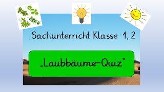 Sachunterricht Klasse 1 und 2 LaubbäumeQuiz Homeschooling [upl. by Purse]