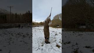 Driven Pheasant Shooting with Labrador Retriever Gundog dog shot pegdog [upl. by Margalit]