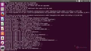 How to install Freefilesync in Ubuntu [upl. by Nangem313]