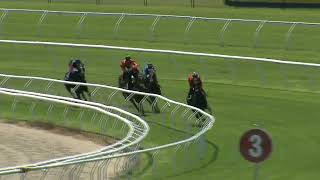 Heat 14 Doomben Jumpouts 0611 [upl. by Zeba308]