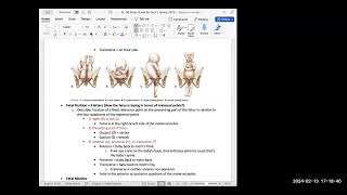 Labor Process Stages of Labor amp Fetal Positioning OB Quiz 2 Part 1 [upl. by Stockwell]