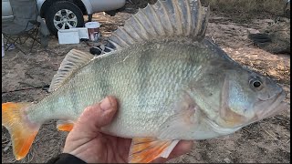 Dock lake Redfin and big carp morning session to start the weekend [upl. by Larok]