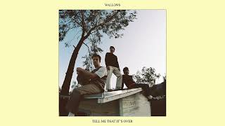 Wallows  Permanent Price Official Audio [upl. by Snapp]