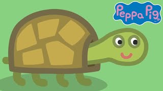 Meet Tiddles The Tortoise 🐷🐢 Peppa Pig Official Channel Family Kids Cartoons [upl. by Einhpets130]