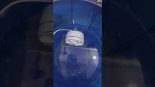 mini washing machine honest review after using 3 month washingmachine [upl. by Emmer542]