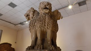 Lion Capital of Ashoka At Sarnath Archaeological Museum Near Varanasi India [upl. by Sucramel]