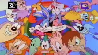 Tiny Toon AdventuresTheme Variations [upl. by Enoch]