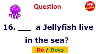 Do  Does Question Exercises  English Grammar  English Test  English learning for Beginners [upl. by Koblas]