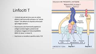 1 Patologia generale Il Sistema Immunitario lezione 1 [upl. by Nnylsia]