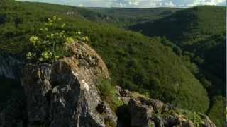 Le Tarn et Garonne au fil de vos envies [upl. by Maisey]