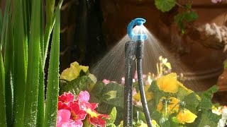 Antelco CFd® Downspray Micro Irrigation Spray Jets [upl. by Martinelli797]