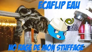 DOFUS Ecaflip 200 STUFF EAU [upl. by Niro]