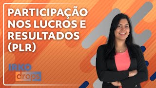 PLR  Participação nos Lucros e Resultados [upl. by Kronick638]