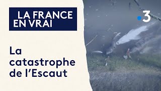 LA CATASTROPHE DE LESCAUT  Documentaire [upl. by Attaymik]