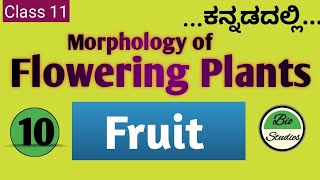 Class 11 ಕನ್ನಡದಲ್ಲಿ  Morphology of Flowering Plants  10  Fruit [upl. by Doscher282]