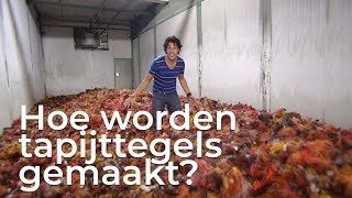 Hoe worden tapijttegels gemaakt  Doen Ze Dat Zo [upl. by Ednew598]