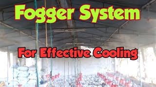 Fogger System Poultry Farm [upl. by Sproul]